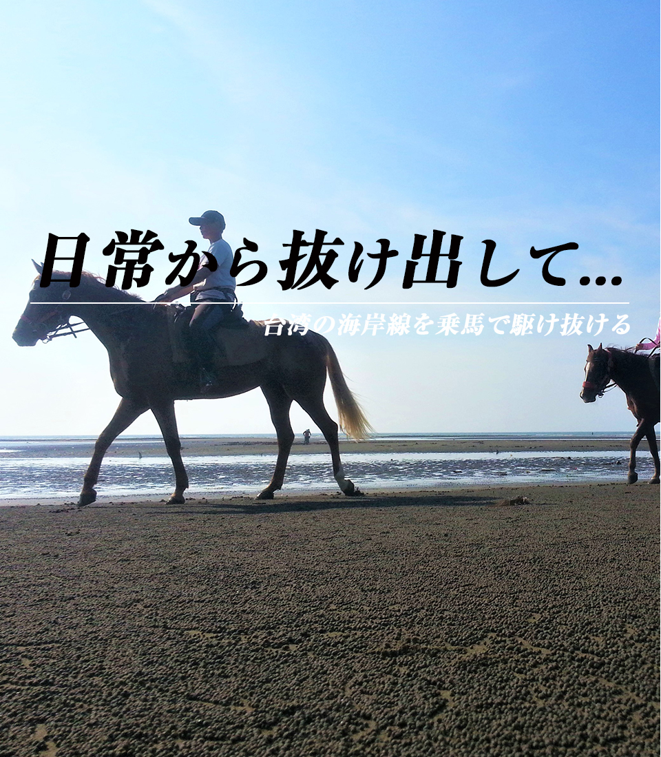 台湾の海岸線を乗馬で乗馬で駆け抜ける